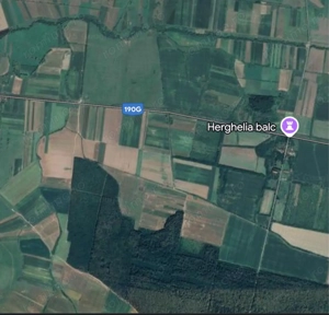 De vanzare 1 ha padure zona herghelia Balc, Bihor