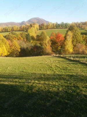 Teren intravilan. Bran, Sohodol. 3056mp