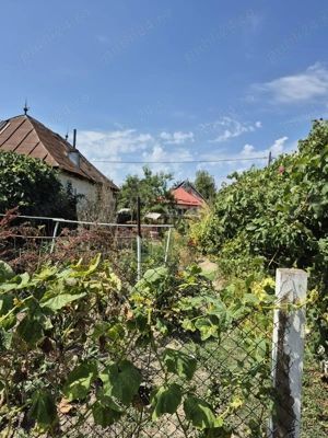 Casă cu teren 1400 mp   Bordenii Mari   Preț avantajos! - imagine 3 Casă cu teren 1400 mp   Bordenii Mari   Preț avantajos! - imagine 3