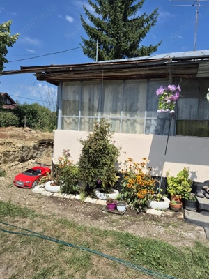 Casă cu teren 1400 mp   Bordenii Mari   Preț avantajos! - imagine 5 Casă cu teren 1400 mp   Bordenii Mari   Preț avantajos! - imagine 5