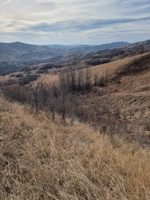 Vând teren în comuna.Vintila Vodă. Sat Câmpulungeanca de jos!