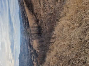 Vând teren în comuna.Vintila Vodă. Sat Câmpulungeanca de jos!  - imagine 4