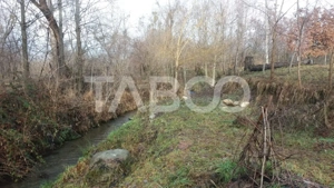 Teren intravilan 8000 mp cu anexa gospodareasca in Vistisoara - imagine 5