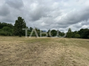 Teren intravilan 8000 mp cu anexa gospodareasca in Vistisoara - imagine 3