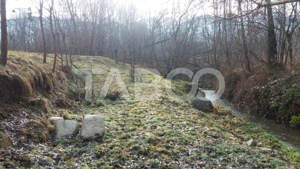 Teren intravilan 8000 mp cu anexa gospodareasca in Vistisoara - imagine 6