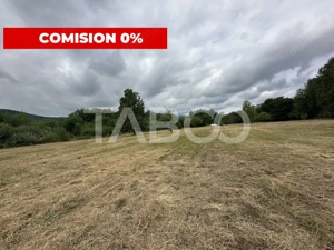 Teren intravilan 8000 mp cu anexa gospodareasca in Vistisoara - imagine 2