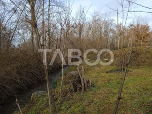 Teren intravilan 8000 mp cu anexa gospodareasca in Vistisoara - imagine 7