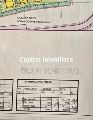 Teren de  vanzare in Grosi: 50.000 mp  - imagine 5