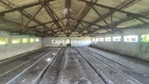 Teren 3.400 mp + 2 hale – Spațiu ideal pentru afacerea ta