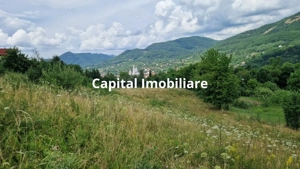 Teren de vanzare in Baia Sprie: 52 Ari, Parcelabil, Comision 0%