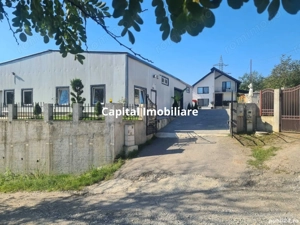 House for sale, 5 Rooms, 240 sqm, 1753 sqm, Boholt - imagine 3