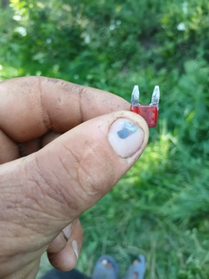 Semănătoare  păioase și de  porumb  - imagine 2