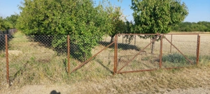 Teren intravilan in Sag jud.Timis - imagine 8