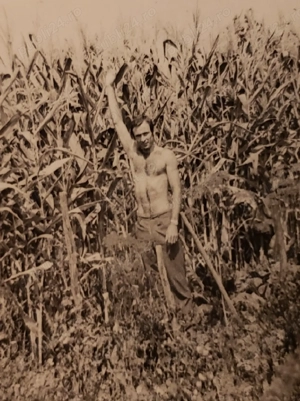 Gradina exceptionala in Sculia Gataia - imagine 7