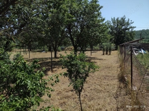 Vând teren intravilan in Cernatesti, sat Aldeni. - imagine 9