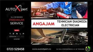 AutoXpert Timisoara angajeaza Electrician Auto   Tehnician Diagnoza