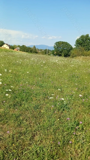 Terenuri de vanzare in localitatea Berinta, la 17km. de Baia Mare, preturi neg.de la 850 euro ar - imagine 6