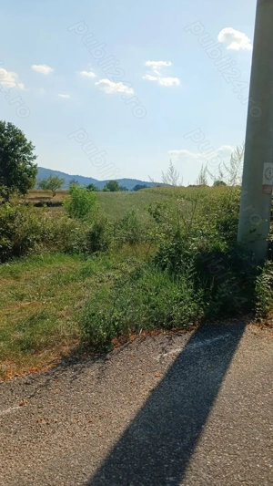 Terenuri de vanzare in localitatea Berinta, la 17km. de Baia Mare, preturi neg.de la 850 euro ar - imagine 9