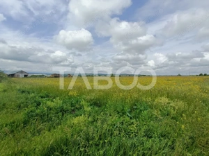 Teren de vanzare in zona Parcului Industrial Sura Mica cu acces camion - imagine 2