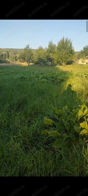 Teren Bârnova Iași  - imagine 2