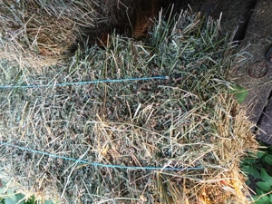 Vand baloti lucerna.