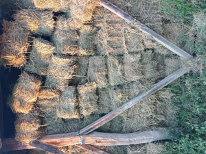 Vand baloti lucerna. - imagine 4