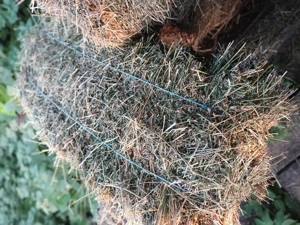 Vand baloti lucerna. - imagine 5