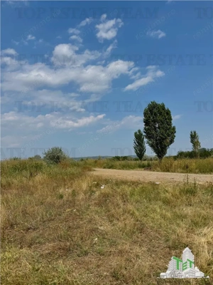 Teren industrial 4800 mp   DN1B – Zona showroom-uri auto   Deschidere 19 m - imagine 8