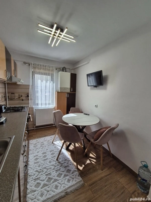 Apartament Stefania Targu Ocna - imagine 4 Apartament Stefania Targu Ocna - imagine 4