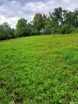 Gradina de vinzare de 200mp intabulata intravilan