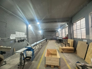 Inchiriere spatiu comercial mica productie -Calea Mosnitei Timisoara