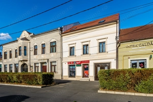 Business activ de vânzare, Aradul Nou, Arad