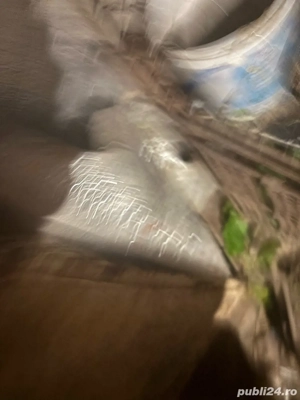 iepurasi pt companie - imagine 3