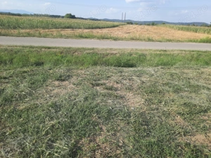 Teren intravilan 2600 mp cu toate utilitatile la strada Babeni Valcea - imagine 3