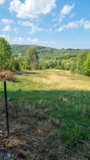 Teren intravilan - zona munte Breaza Comarnic  - Talea (Prahova) - 9150 mp, utilitati la poarta - imagine 3