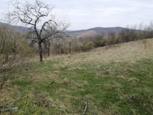 teren intravilan de vinzare resita linga satul doman  - imagine 5