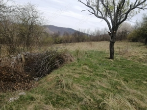 teren intravilan de vinzare resita linga satul doman  - imagine 7