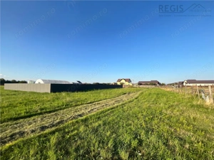 COMISION 0! TEREN INTRAVILAN, 1000MP, HARMAN - imagine 3