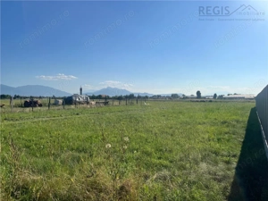 COMISION 0! TEREN INTRAVILAN, 1000MP, HARMAN - imagine 2