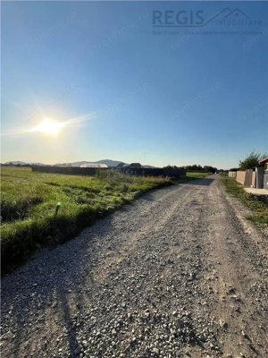 COMISION 0! TEREN INTRAVILAN, 1000MP, HARMAN - imagine 7