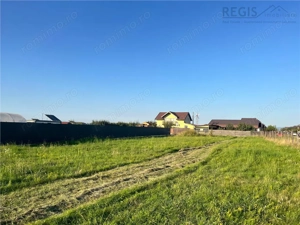 COMISION 0! TEREN INTRAVILAN, 1000MP, HARMAN - imagine 4