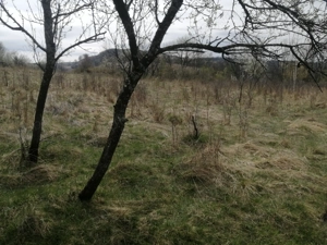 teren intravilan de vinzare resita linga satul doman  - imagine 8