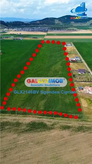 Teren Intravilan Cu PUZ Harman 32100 MP