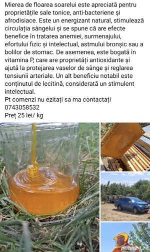 Miere naturala - imagine 2