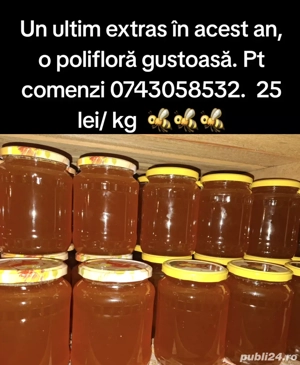 Miere naturala - imagine 4