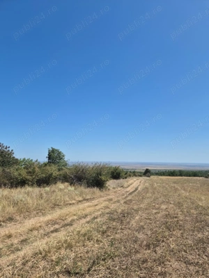 Vand teren extravilan 3 ha Livada Mare, Comuna Grebanu, jud Buzau