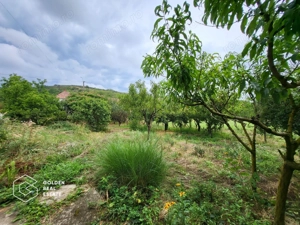 Casa cu D+P+E, 3500 mp teren, zona centrala, Paulis - imagine 19