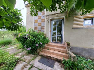 Casa cu D+P+E, 3500 mp teren, zona centrala, Paulis - imagine 4