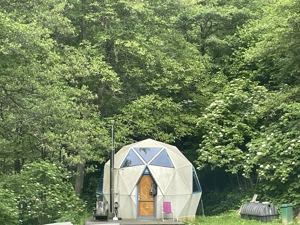 Oportunitate unică ! Proprietate în parc național  pe malul Cernei !  - imagine 7