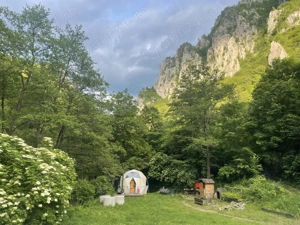 Oportunitate unică ! Proprietate în parc național  pe malul Cernei !